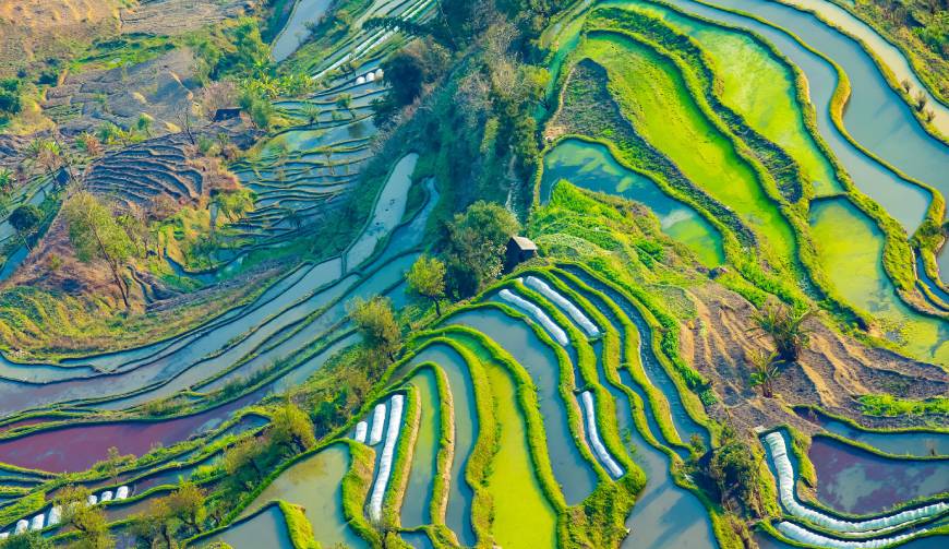 宝妈必备神器：金凤区产品视频拍摄轻松育儿好帮手