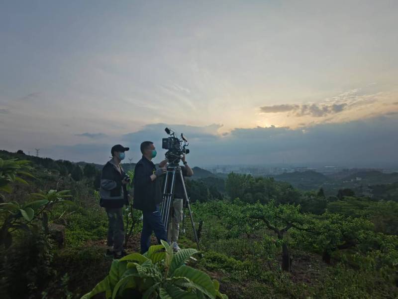 创意破圈！金凤区电商产品宣传视频用故事化叙事引爆流量